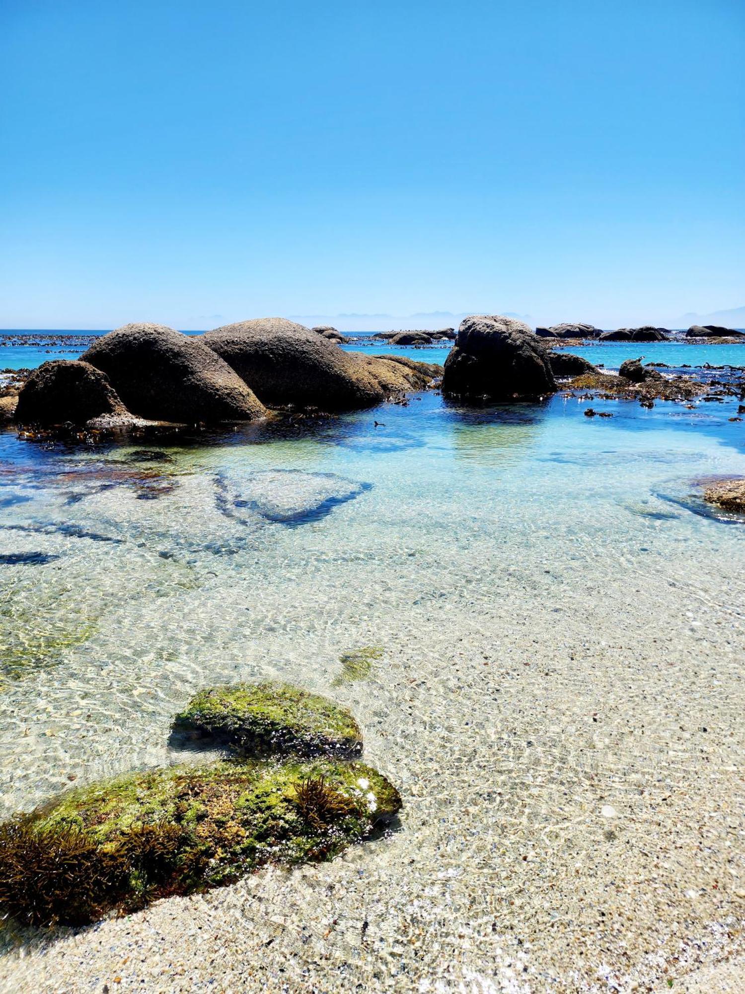 The Tides Bed and Breakfast Simonʼs Town Buitenkant foto